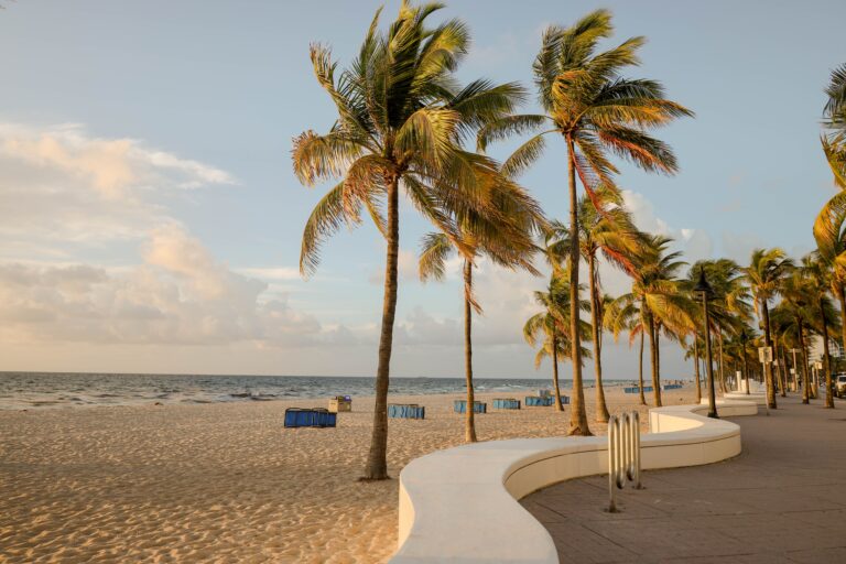 Palm trees line a sandy beach next to a curved white walkway in Fort Lauderdale, with blue trash bins and a calm ocean under a partly cloudy sky.
