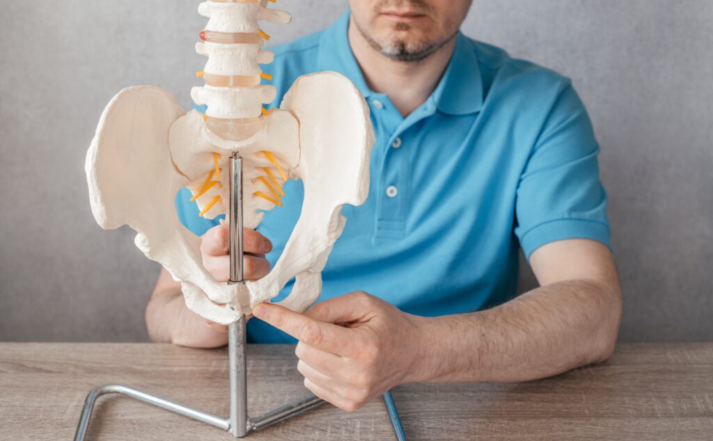 A man in a blue shirt sits at a table, holding and pointing to a human pelvic bone model with a metal stand, showing the lower spine and pelvis—an area often discussed in connection with urinary leakage in men or issues such as post-void dribble.